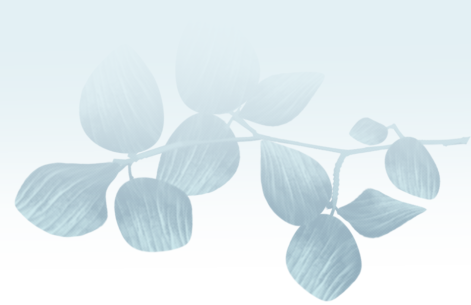 branch